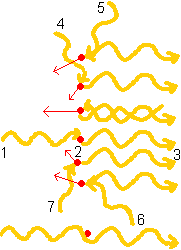 All possible pasts of ph 2-3