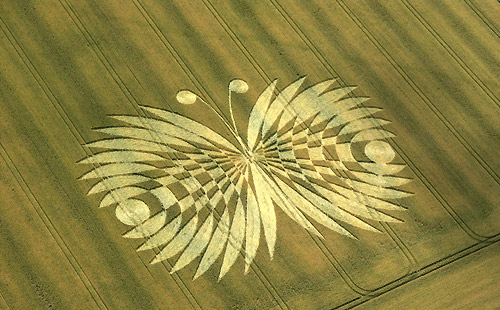 a crop circle